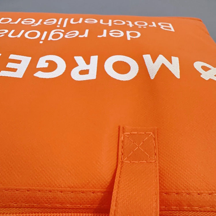 Non-woven Cooler Bag
