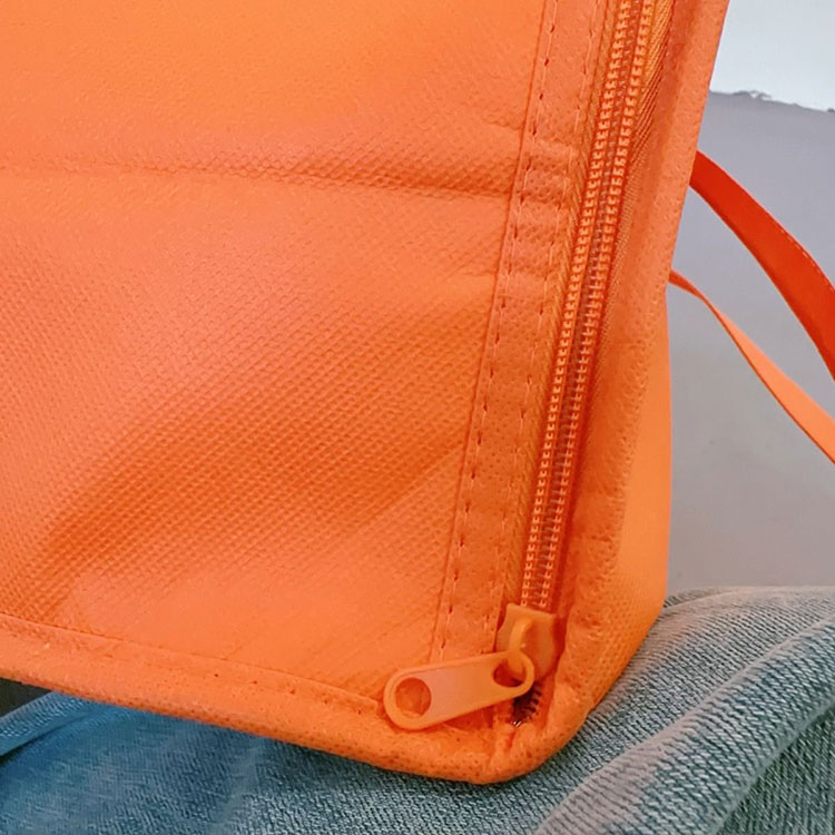 Non-woven Cooler Bag